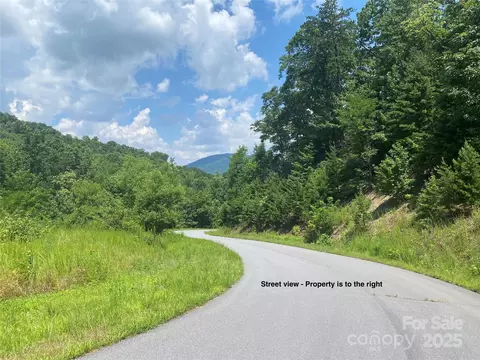 Winding Ridge Road, Lake Lure, NC 28746