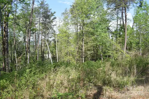 0 Winter Lot 7 Dr #LOT 7, Mill Spring, NC 28756 photo 4