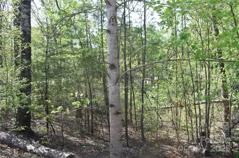 0 Winter Lot 7 Dr #LOT 7, Mill Spring, NC 28756 photo 15