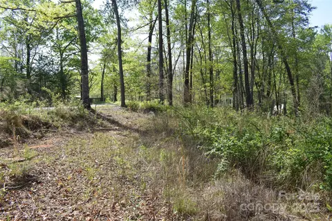 0 Winter Lot 7 Dr #LOT 7, Mill Spring, NC 28756 photo 9