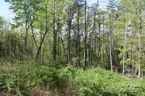 0 Winter Lot 7 Dr #LOT 7, Mill Spring, NC 28756 photo 10