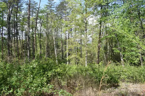 0 Winter Lot 7 Dr #LOT 7, Mill Spring, NC 28756 photo 6