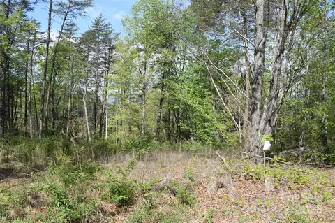 0 Winter Lot 7 Dr #LOT 7, Mill Spring, NC 28756 photo 2