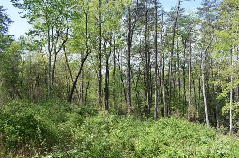 0 Winter Lot 7 Dr #LOT 7, Mill Spring, NC 28756 photo 8