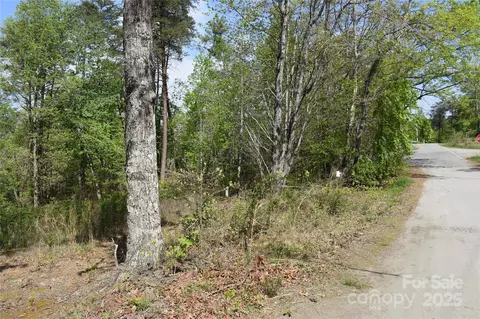 0 Winter Lot 7 Dr #LOT 7, Mill Spring, NC 28756 photo 13
