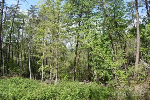 0 Winter Lot 7 Dr #LOT 7, Mill Spring, NC 28756 photo 11