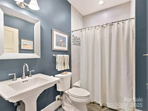 64 Nuthatch Ct, Fairview, NC 28730 photo 33