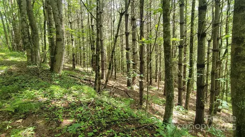 000 Eagle Bridge Rd, Burnsville, NC 28714