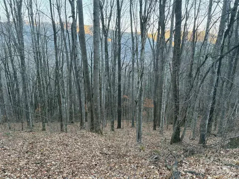 00 Slippery Rock 306 307 Rd #306 & 307, Waynesville, NC 28785