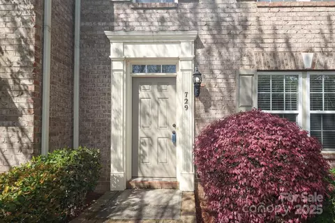 Other - 729 Naramore St, Davidson, NC 28036 photo 2 of 13