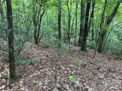 139 Pine Burr Drive #139, Purlear, NC 28665 photo 8