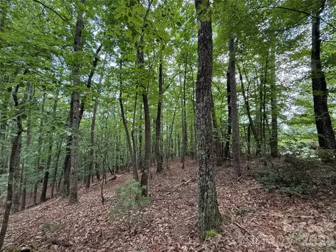 139 Pine Burr Drive #139, Purlear, NC 28665 photo 11