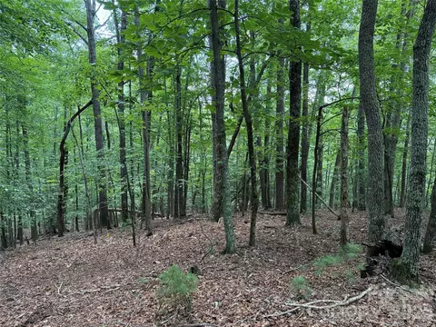 139 Pine Burr Drive #139, Purlear, NC 28665 photo 9