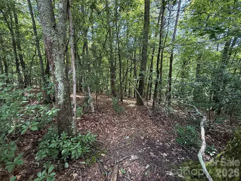 139 Pine Burr Drive #139, Purlear, NC 28665 photo 7