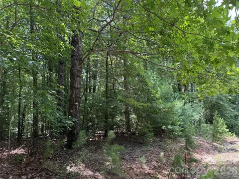 139 Pine Burr Drive #139, Purlear, NC 28665 photo 13
