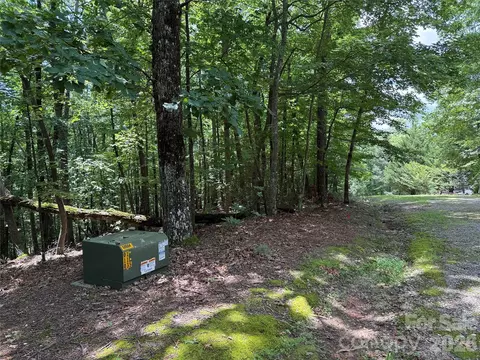 139 Pine Burr Drive #139, Purlear, NC 28665 photo 3