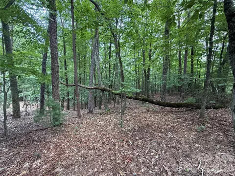 139 Pine Burr Drive #139, Purlear, NC 28665 photo 10