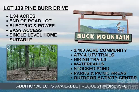 139 Pine Burr Drive #139, Purlear, NC 28665