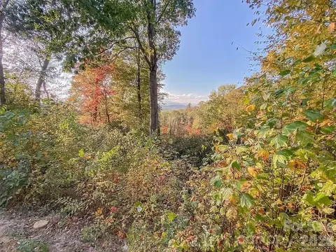 215 Crossvine 11 Trl #11, Hendersonville, NC 28739