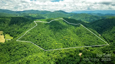 1710 Roaring Fork Rd, Mars Hill, NC 28754