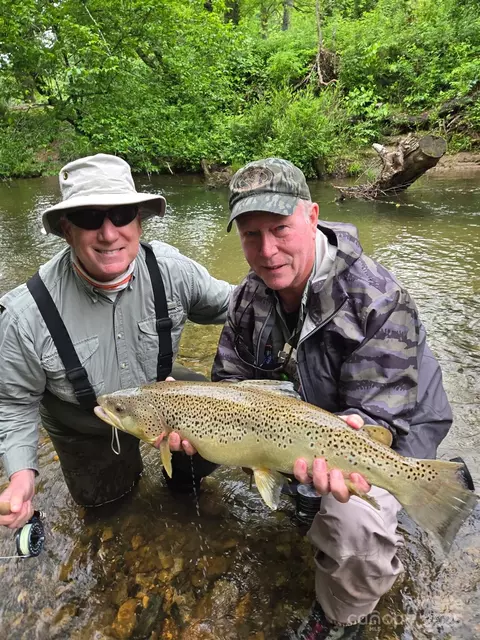 0 Mountain River Pl, Zirconia, NC 28773