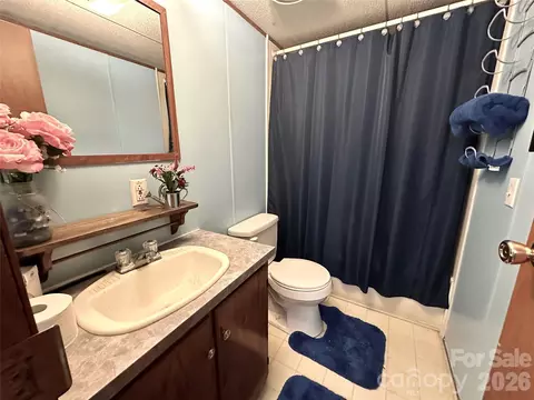Bath - 492 Chestnut Mountain Rd, Spruce Pine, NC 28777 photo 1 of 2