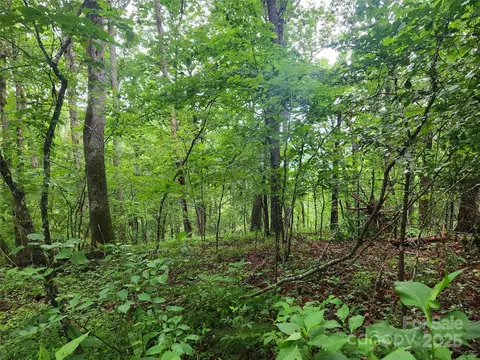 Henry Worley Lane, Marshall, NC 28753