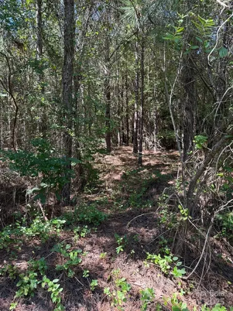 00 Daisy Rd, Lilesville, NC 28091