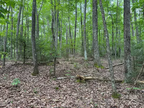 Red Clover Road, Beech Mountain, NC 28604 photo 16