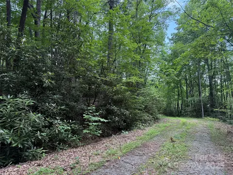 Red Clover Road, Beech Mountain, NC 28604 photo 4