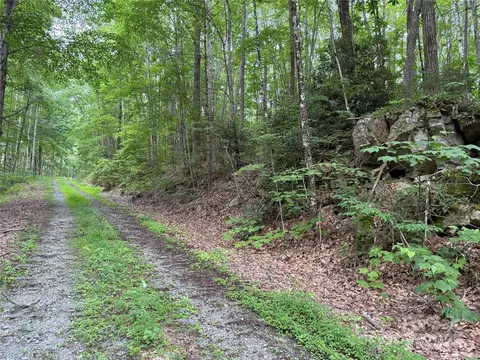Red Clover Road, Beech Mountain, NC 28604 photo 30