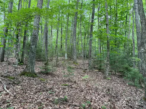 Red Clover Road, Beech Mountain, NC 28604 photo 14