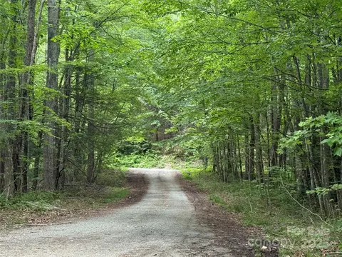 Red Clover Road, Beech Mountain, NC 28604 photo 33