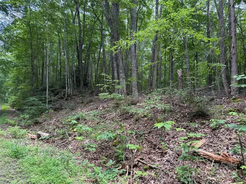 Red Clover Road, Beech Mountain, NC 28604 photo 3