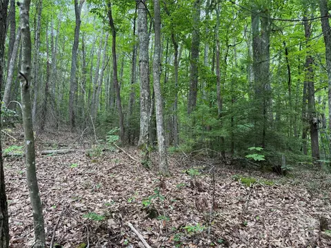 Red Clover Road, Beech Mountain, NC 28604 photo 8