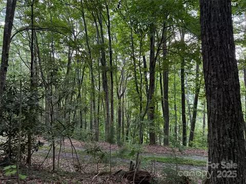 Red Clover Road, Beech Mountain, NC 28604 photo 23