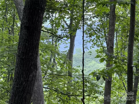 Red Clover Road, Beech Mountain, NC 28604 photo 25