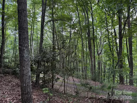 Red Clover Road, Beech Mountain, NC 28604 photo 24
