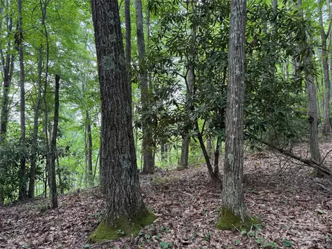 Red Clover Road, Beech Mountain, NC 28604 photo 20
