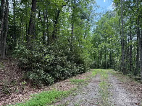 Red Clover Road, Beech Mountain, NC 28604 photo 2