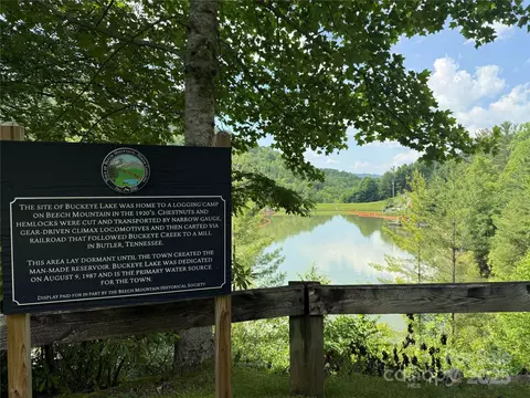 Red Clover Road, Beech Mountain, NC 28604 photo 37