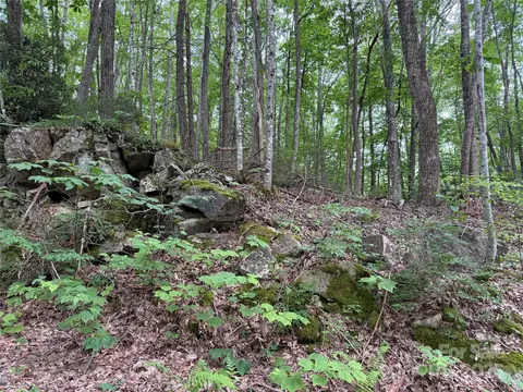 Red Clover Road, Beech Mountain, NC 28604 photo 29