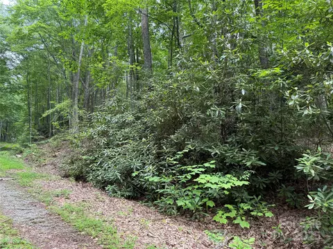 Red Clover Road, Beech Mountain, NC 28604 photo 7