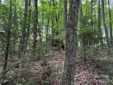 Red Clover Road, Beech Mountain, NC 28604 photo 19