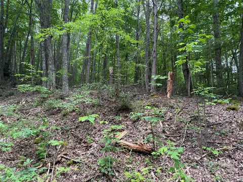 Red Clover Road, Beech Mountain, NC 28604
