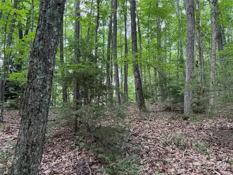 Red Clover Road, Beech Mountain, NC 28604 photo 18
