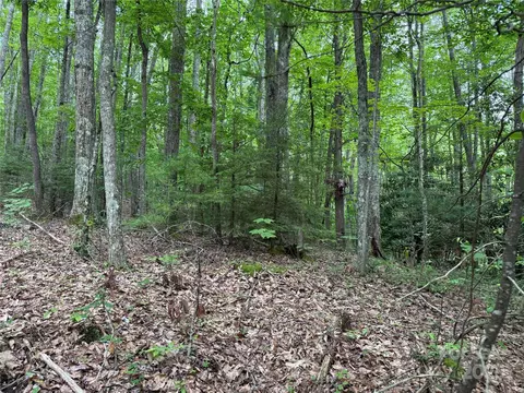Red Clover Road, Beech Mountain, NC 28604 photo 9