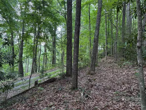 Red Clover Road, Beech Mountain, NC 28604 photo 22