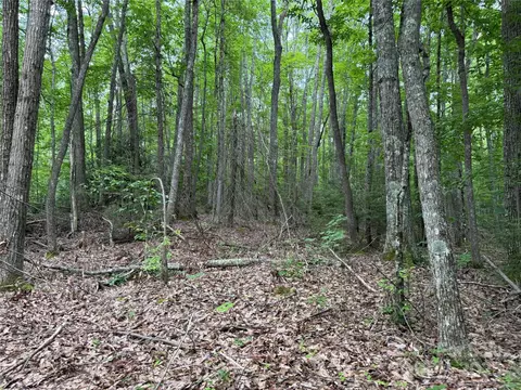 Red Clover Road, Beech Mountain, NC 28604 photo 10