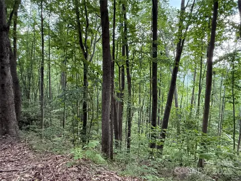Red Clover Road, Beech Mountain, NC 28604 photo 26